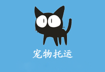 宠物运输一站式服务