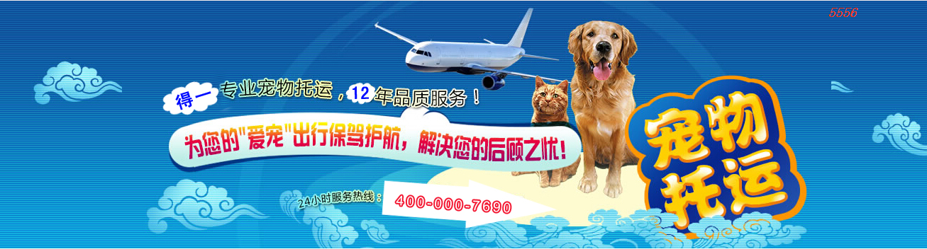 得一宠物托运