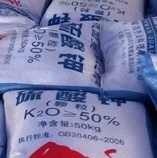 中港；方