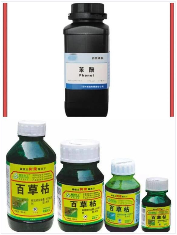 国际货运代理
